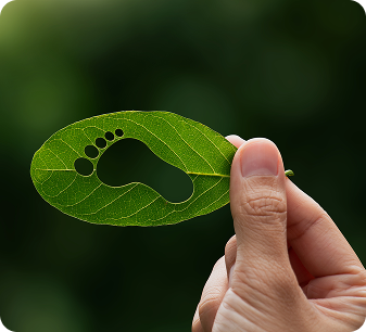 Eco-Conscious Manufacturing