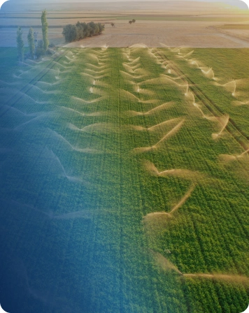 Irrigation and Water Distribution