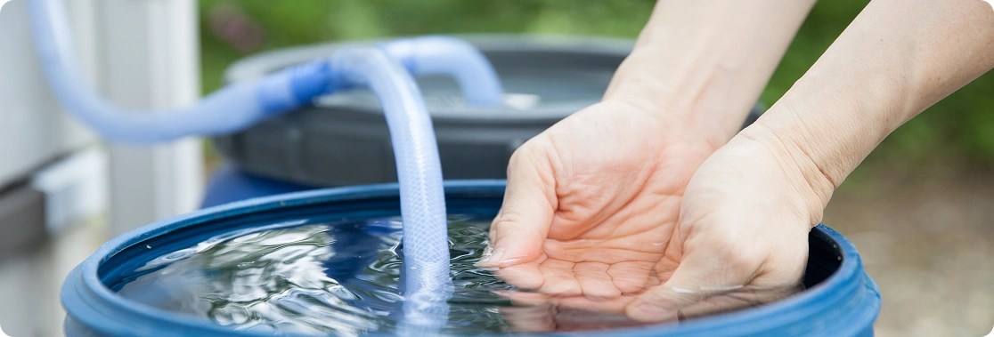 shutterstock_1981728653-1-1