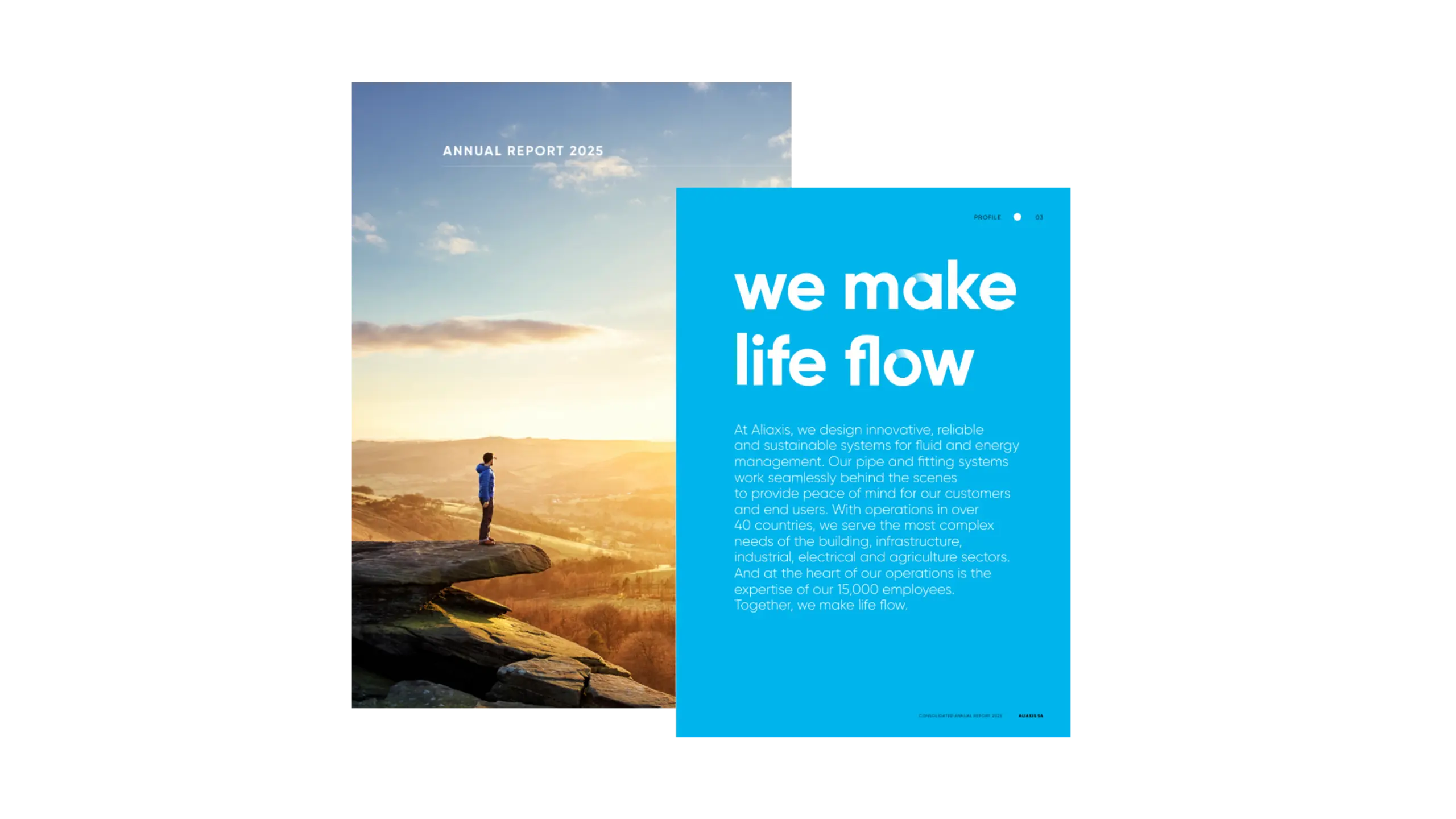 Aliaxis-Annual-Report-2025-scaled (1)
