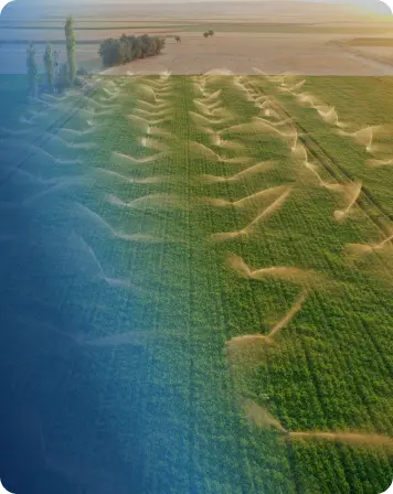 Irrigation-and-Water-Distribution-1 (2)