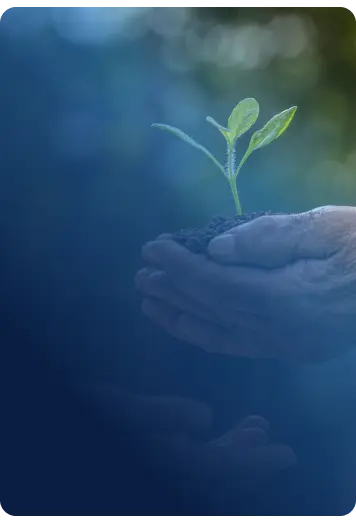 Sustainability (1)